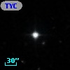 TYC  812-575-1