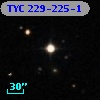 TYC  229-225-1