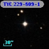 TYC  229-809-1
