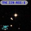 TYC  229-855-1