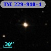 TYC  229-910-1