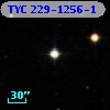 TYC  229-1256-1