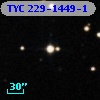 TYC  229-1449-1
