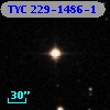 TYC  229-1486-1