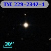 TYC  229-2347-1