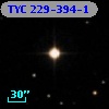 TYC  229-394-1