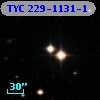 TYC  229-1131-1