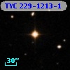 TYC  229-1213-1