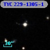 TYC  229-1305-1