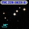 TYC  229-1623-1