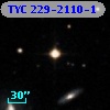 TYC  229-2110-1