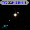 TYC  229-2184-1