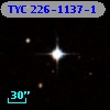 TYC  226-1137-1