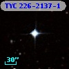 TYC  226-2137-1