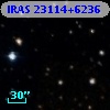 IRAS 23114+6236