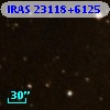 IRAS 23118+6125