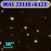 IRAS 23118+6123