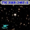 TYC 3169-2487-1