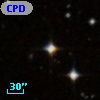CPD-19  3956