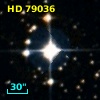 HD  79036