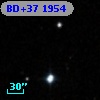 BD+37  1954