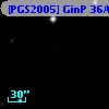 [PGS2005] GinP 36A