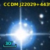 CCDM J22029+4439D