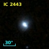 IC 2443