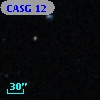 CASG   12