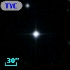 TYC 1951-1316-1