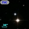 TYC 1951-1755-1