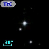 TYC 1952-1445-1