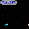 Ton  1037