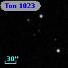 Ton  1023