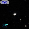 TYC  825-642-1
