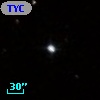 TYC  825-694-1