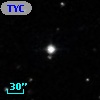 TYC  825-736-1