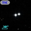 TYC  825-973-1
