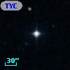 TYC  822-699-1