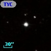 TYC  825-495-1