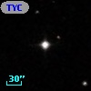 TYC  825-733-1