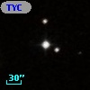 TYC  825-1019-1