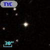 TYC  825-1036-1