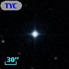 TYC  819-736-1