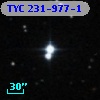 TYC  231-977-1