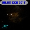 [HL85] GGD 37 T