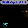 NAME Cep A VLA 1