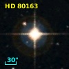 HD  80163