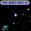 TYC 4282-877-1