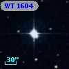 WT 1604